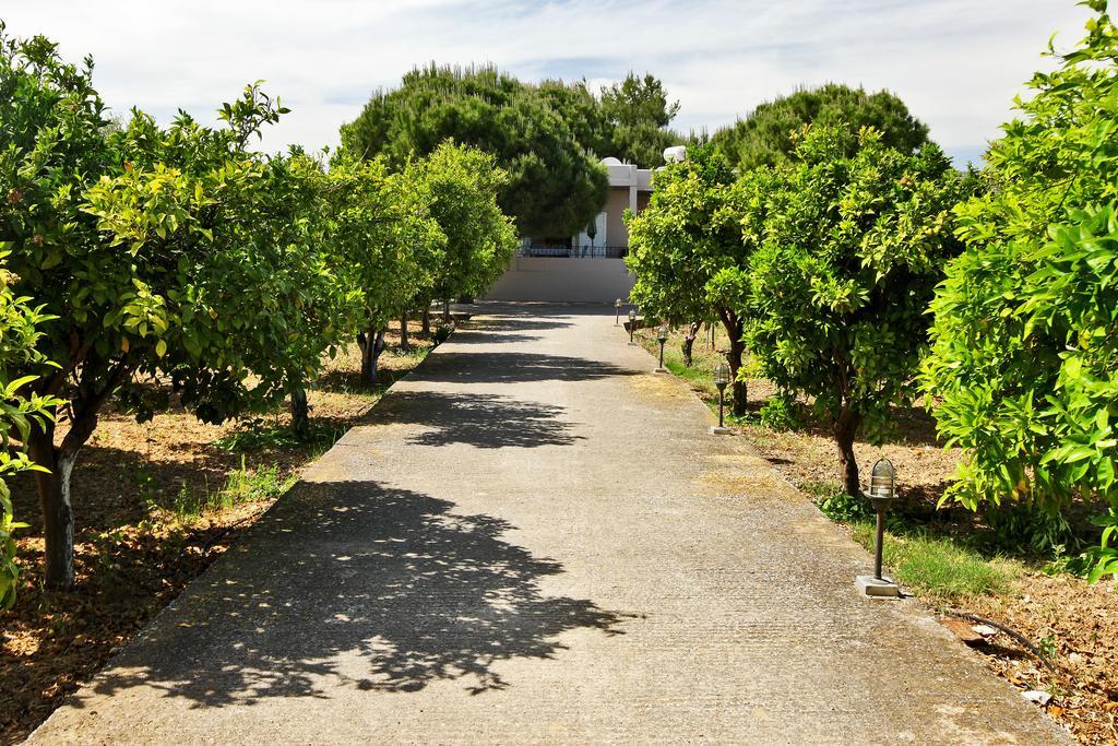 Villa Eleni Marathón Zewnętrze zdjęcie